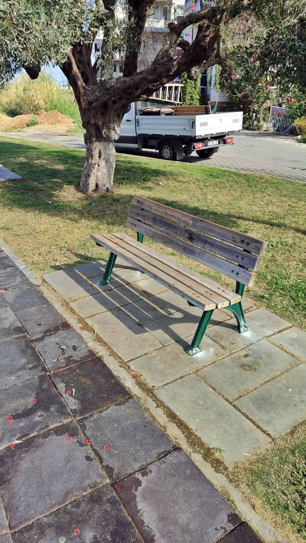 Zeytin ağacına asılı halde bulundu! Belediye ekipleri güçlükle indirebildi 3